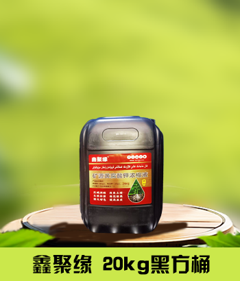 鑫聚缘20kg黑方桶